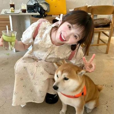 侦探韩森
